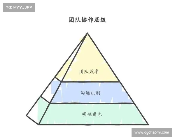 如何通过辅助光辉装备提升团队协作与战术配合能力 如何通过辅助光辉装备提升团队协作与战术配合能力