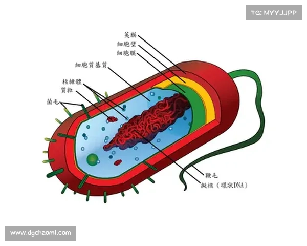 冰虫鳞片结构与功能的五大特征及其生物学意义解析 冰虫鳞片结构与功能的五大特征及其生物学意义解析